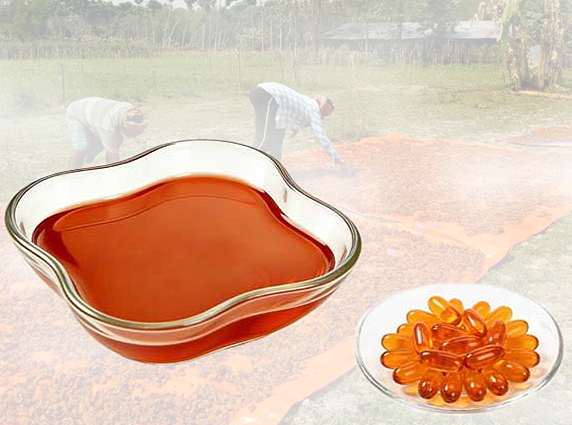 Carotenoid lutein powder for nutraceutical applications