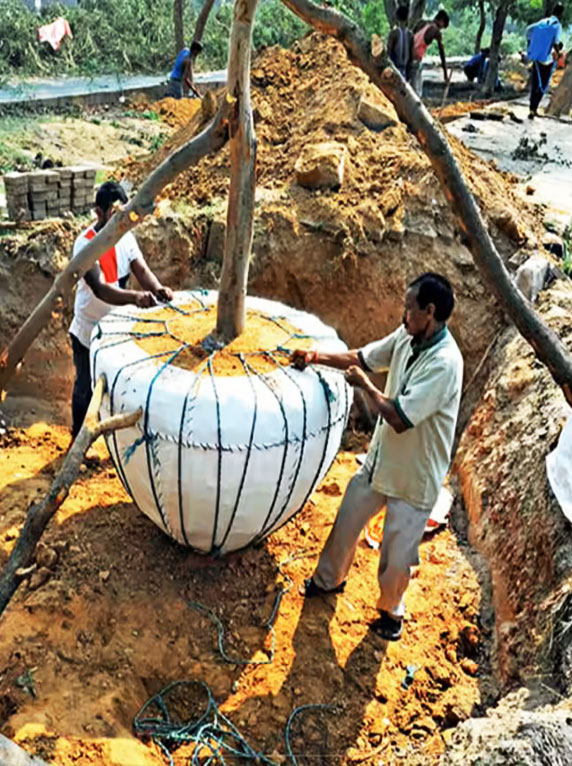 Tree relocation site showing environmental conservation through transplantation in India