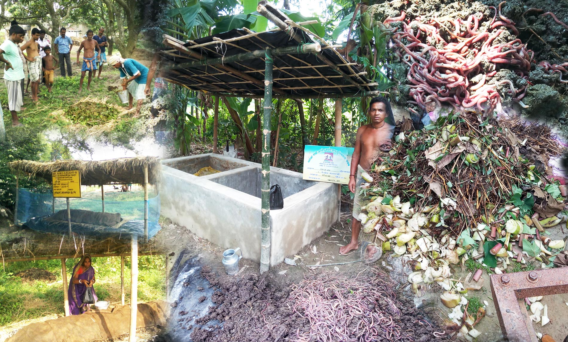 Vermicompost for sustainable gardening